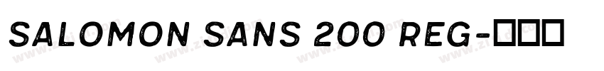 SALOMON Sans 200 Reg字体转换 SALOMON Sans 200 Reg字体转换